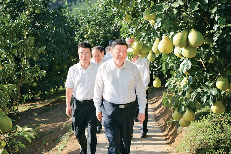 习近平:学习好贯彻好党的二十届四中全会精神
